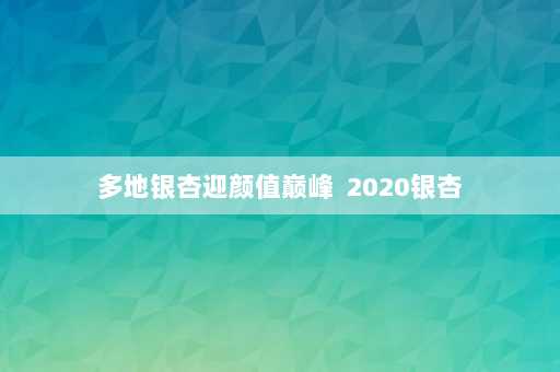 多地银杏迎颜值巅峰  2020银杏