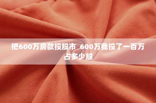 把600万房款投股市  600万我投了一百万占多少股