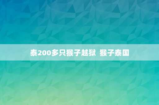 泰200多只猴子越狱  猴子泰国