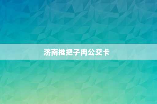 济南推把子肉公交卡  