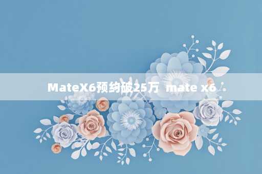 MateX6预约破25万  mate x6