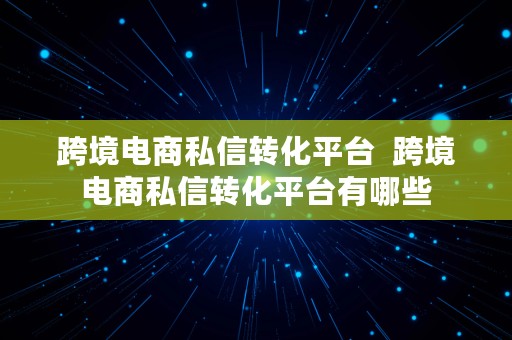 跨境电商私信转化平台  跨境电商私信转化平台有哪些