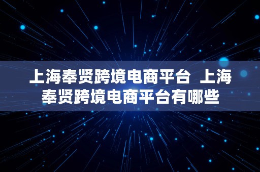 上海奉贤跨境电商平台  上海奉贤跨境电商平台有哪些