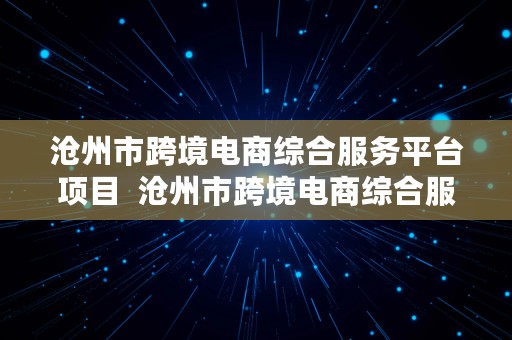 沧州市跨境电商综合服务平台项目  沧州市跨境电商综合服务平台项目招标