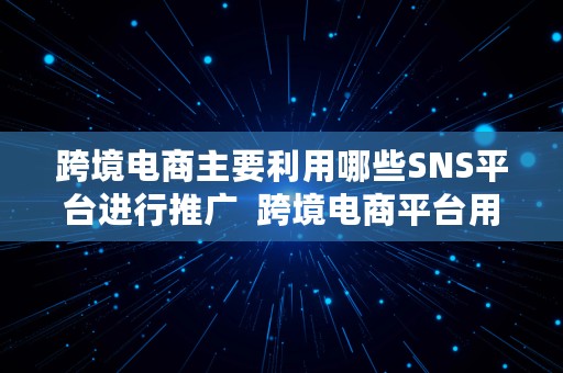 跨境电商主要利用哪些SNS平台进行推广  跨境电商平台用什么营销