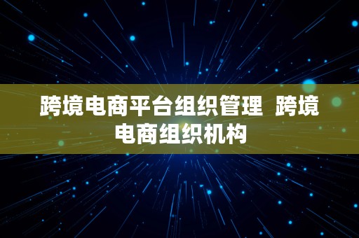 跨境电商平台组织管理  跨境电商组织机构