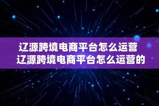 辽源跨境电商平台怎么运营  辽源跨境电商平台怎么运营的