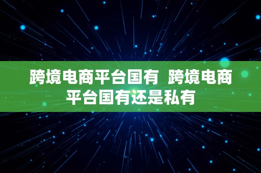 跨境电商平台国有  跨境电商平台国有还是私有