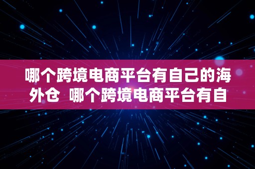 哪个跨境电商平台有自己的海外仓  哪个跨境电商平台有自己的海外仓库