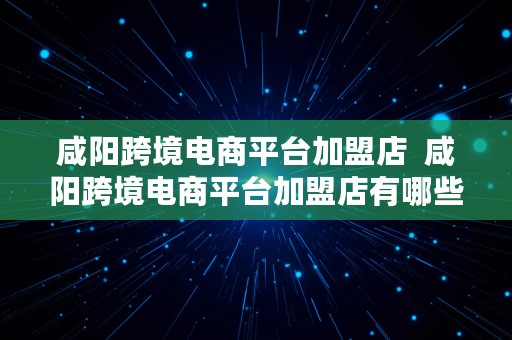 咸阳跨境电商平台加盟店  咸阳跨境电商平台加盟店有哪些