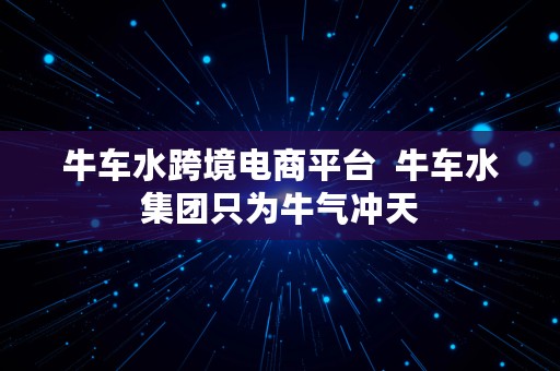 牛车水跨境电商平台  牛车水集团只为牛气冲天