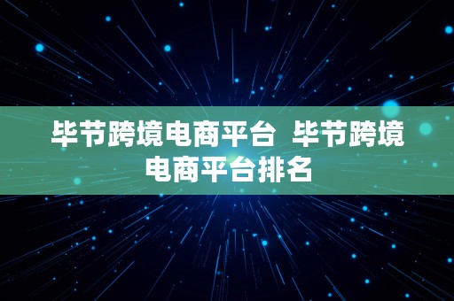 毕节跨境电商平台  毕节跨境电商平台排名