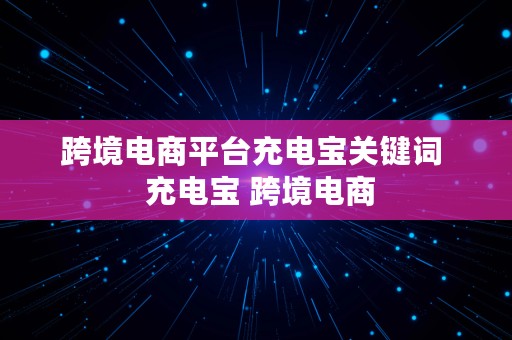 跨境电商平台充电宝关键词  充电宝 跨境电商