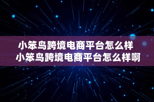 小笨鸟跨境电商平台怎么样  小笨鸟跨境电商平台怎么样啊