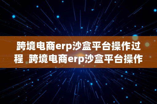 跨境电商erp沙盒平台操作过程  跨境电商erp沙盒平台操作过程视频