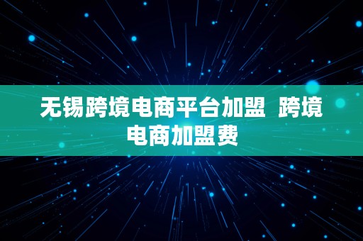 无锡跨境电商平台加盟  跨境电商加盟费