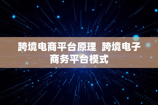 跨境电商平台原理  跨境电子商务平台模式