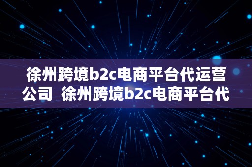 徐州跨境b2c电商平台代运营公司  徐州跨境b2c电商平台代运营公司有哪些