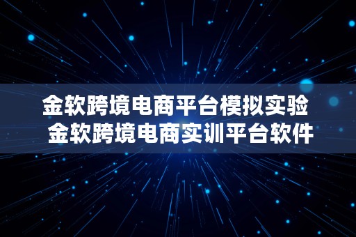 金软跨境电商平台模拟实验  金软跨境电商实训平台软件