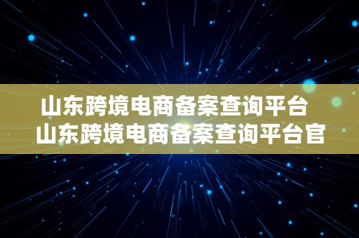 山东跨境电商备案查询平台  山东跨境电商备案查询平台官网