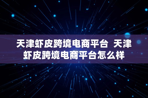 天津虾皮跨境电商平台  天津虾皮跨境电商平台怎么样