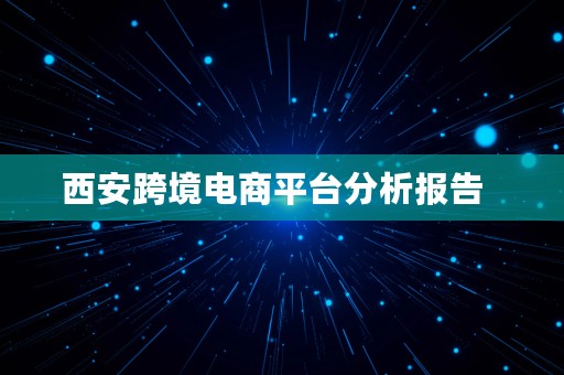 西安跨境电商平台分析报告  