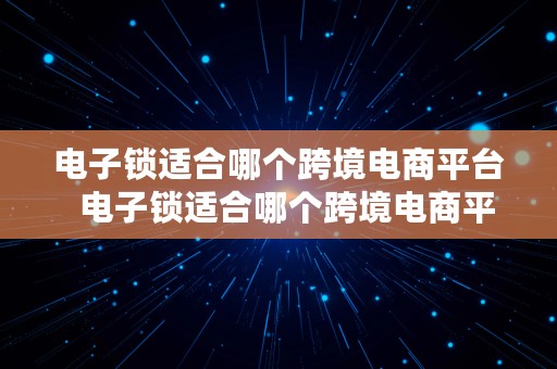 电子锁适合哪个跨境电商平台  电子锁适合哪个跨境电商平台使用