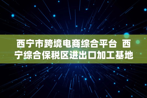 西宁市跨境电商综合平台  西宁综合保税区进出口加工基地项目