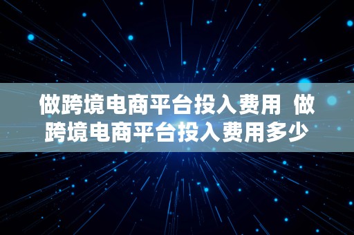 做跨境电商平台投入费用  做跨境电商平台投入费用多少