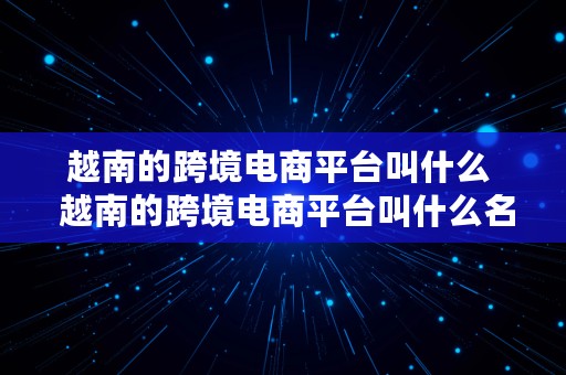 越南的跨境电商平台叫什么  越南的跨境电商平台叫什么名字