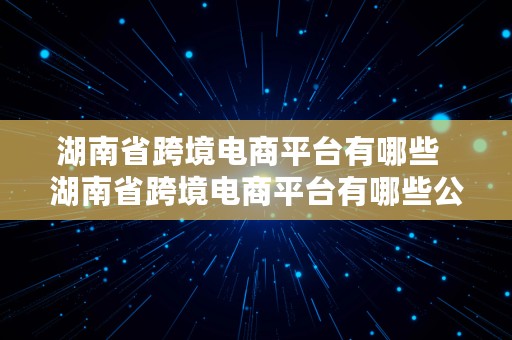 湖南省跨境电商平台有哪些  湖南省跨境电商平台有哪些公司