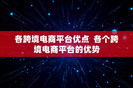 各跨境电商平台优点  各个跨境电商平台的优势