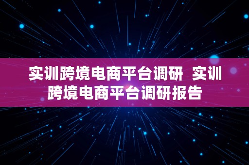 实训跨境电商平台调研  实训跨境电商平台调研报告