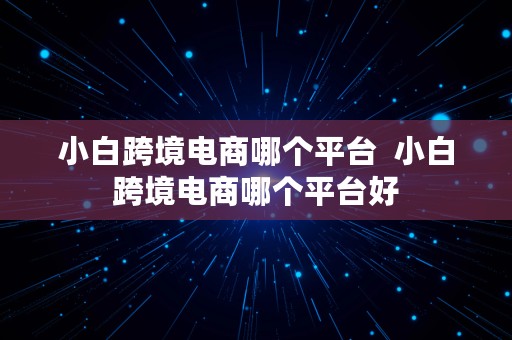 小白跨境电商哪个平台  小白跨境电商哪个平台好