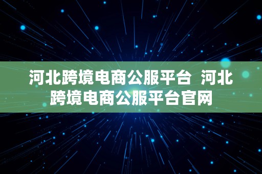 河北跨境电商公服平台  河北跨境电商公服平台官网