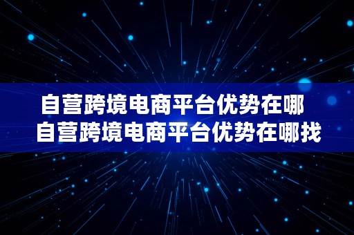 自营跨境电商平台优势在哪  自营跨境电商平台优势在哪找