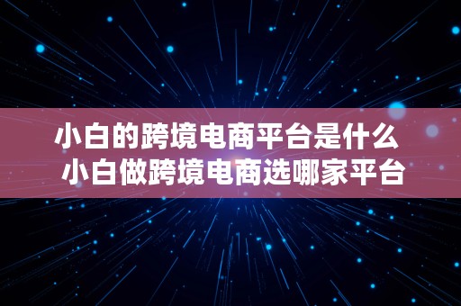 小白的跨境电商平台是什么  小白做跨境电商选哪家平台