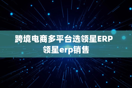 跨境电商多平台选领星ERP  领星erp销售