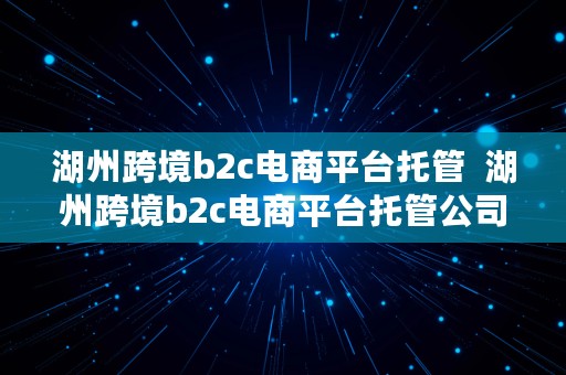 湖州跨境b2c电商平台托管  湖州跨境b2c电商平台托管公司