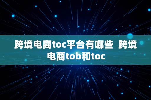 跨境电商toc平台有哪些  跨境电商tob和toc