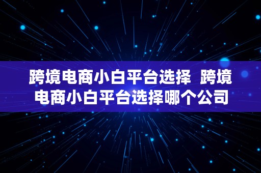 跨境电商小白平台选择  跨境电商小白平台选择哪个公司