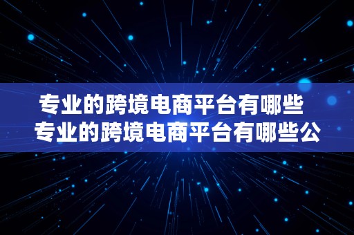 专业的跨境电商平台有哪些  专业的跨境电商平台有哪些公司