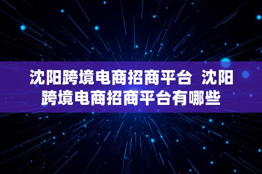 沈阳跨境电商招商平台  沈阳跨境电商招商平台有哪些