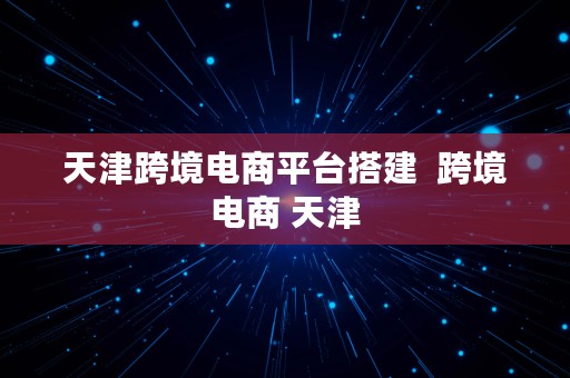 天津跨境电商平台搭建  跨境电商 天津