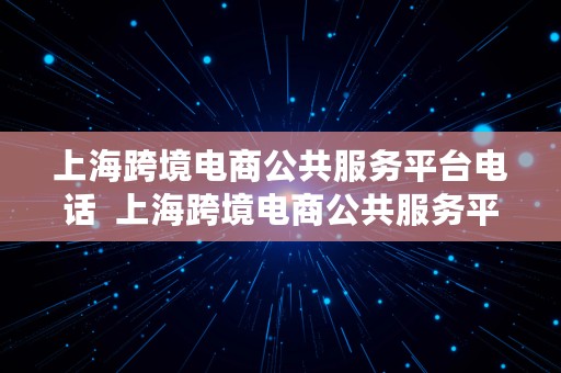 上海跨境电商公共服务平台电话  上海跨境电商公共服务平台电话号码