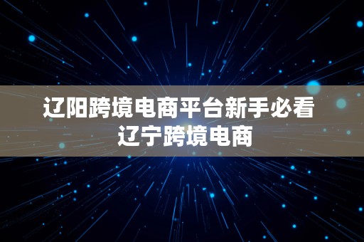 辽阳跨境电商平台新手必看  辽宁跨境电商