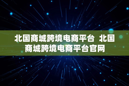 北国商城跨境电商平台  北国商城跨境电商平台官网