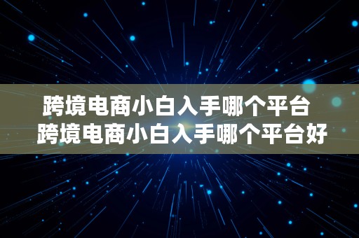 跨境电商小白入手哪个平台  跨境电商小白入手哪个平台好