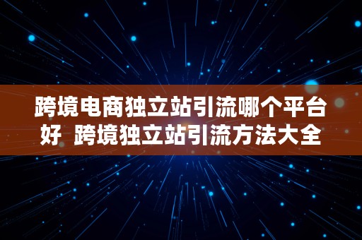 跨境电商独立站引流哪个平台好  跨境独立站引流方法大全