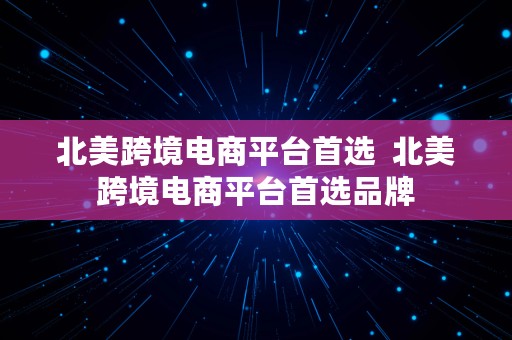 北美跨境电商平台首选  北美跨境电商平台首选品牌